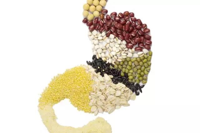 長(zhǎng)夏養(yǎng)生，吃出好“ 胃”口！